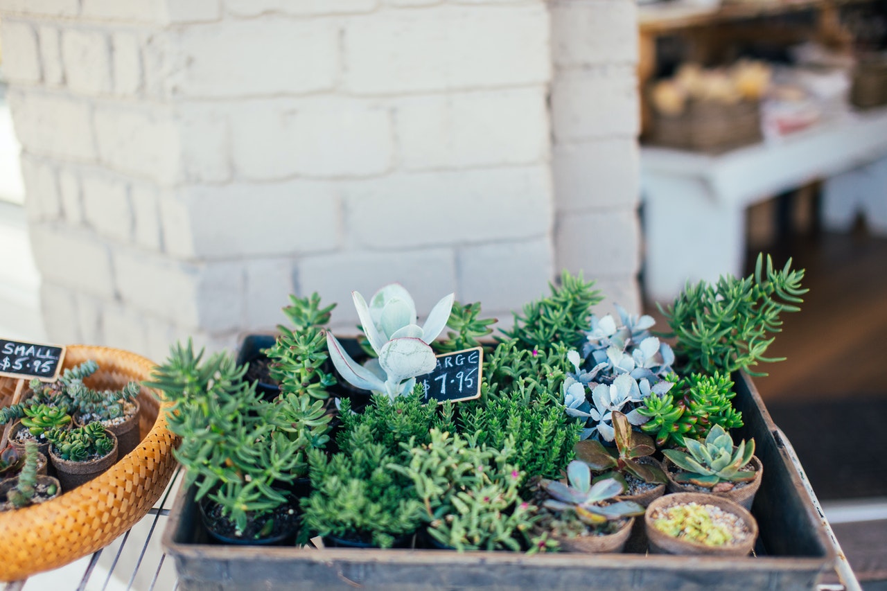 tuinwinkel online